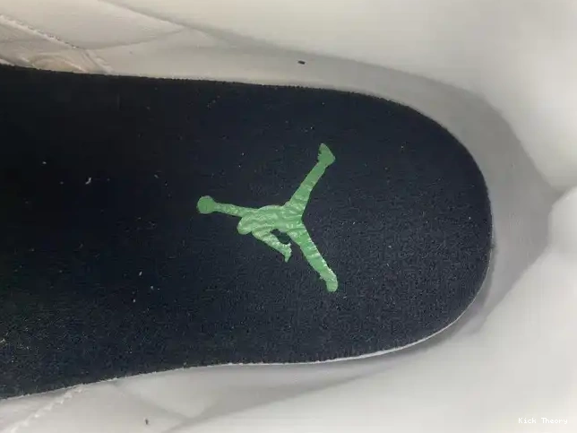 Kick Theory 594282233 Pit Jordan Crew Oregon 3 Retro Ducks White 0520